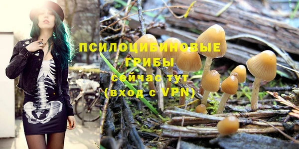 метадон Лабытнанги