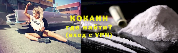 шишки Лагань