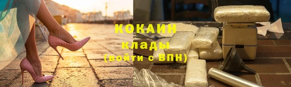 шишки Лагань