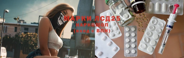 шишки Лагань