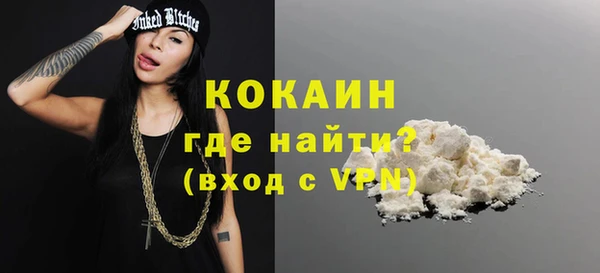 шишки Лагань