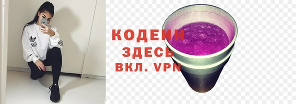 шишки Лагань