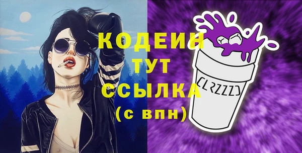 шишки Лагань