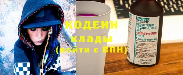 шишки Лагань