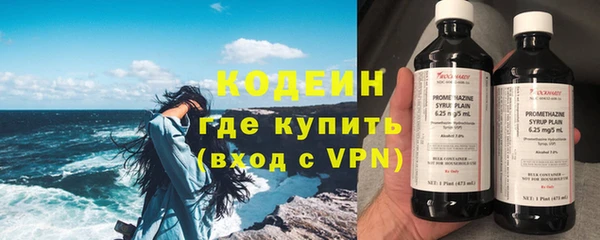 шишки Лагань